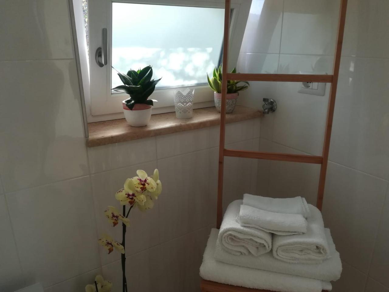 B&B Il Sogno Santa Maria di Castellabate Exteriör bild
