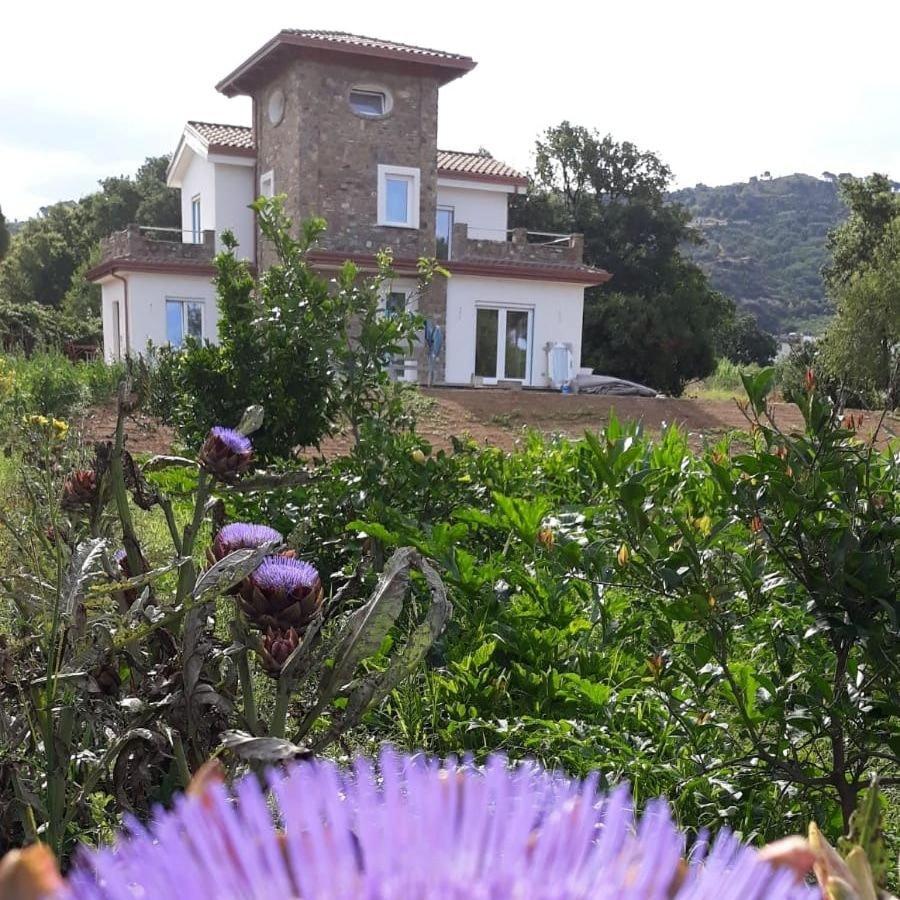 B&B Il Sogno Santa Maria di Castellabate Exteriör bild