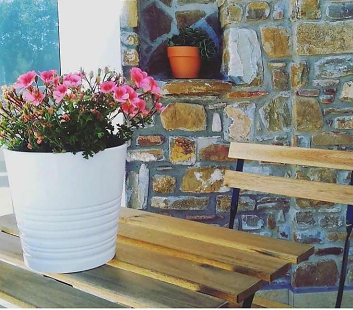 B&B Il Sogno Santa Maria di Castellabate Exteriör bild
