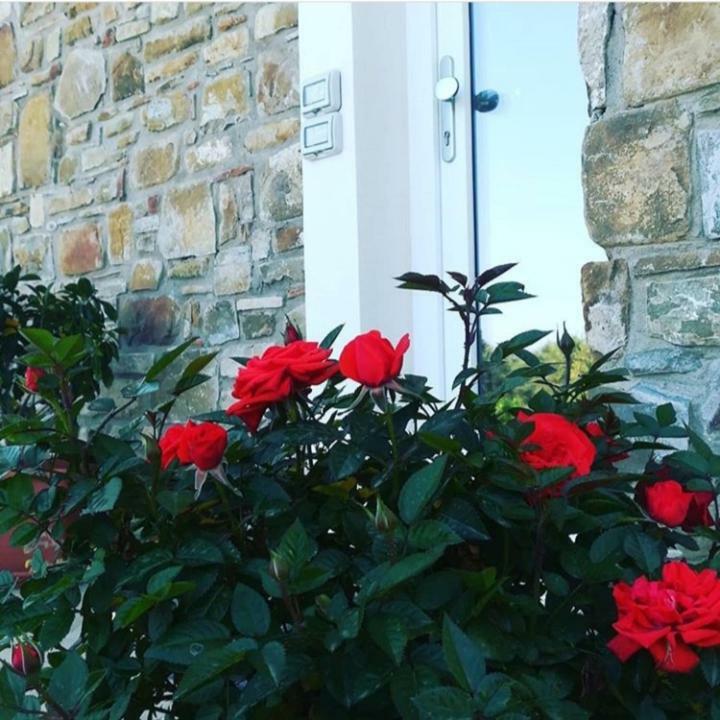 B&B Il Sogno Santa Maria di Castellabate Exteriör bild